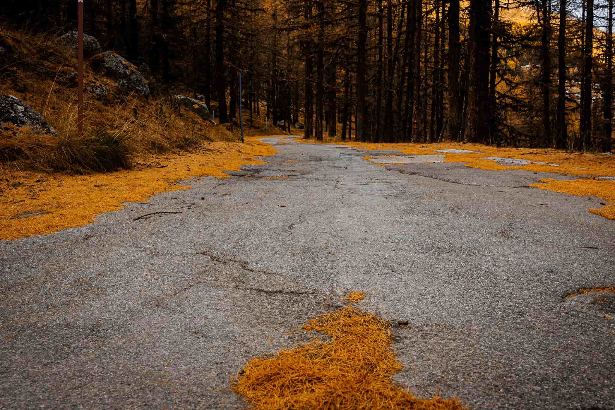 The path is clear.