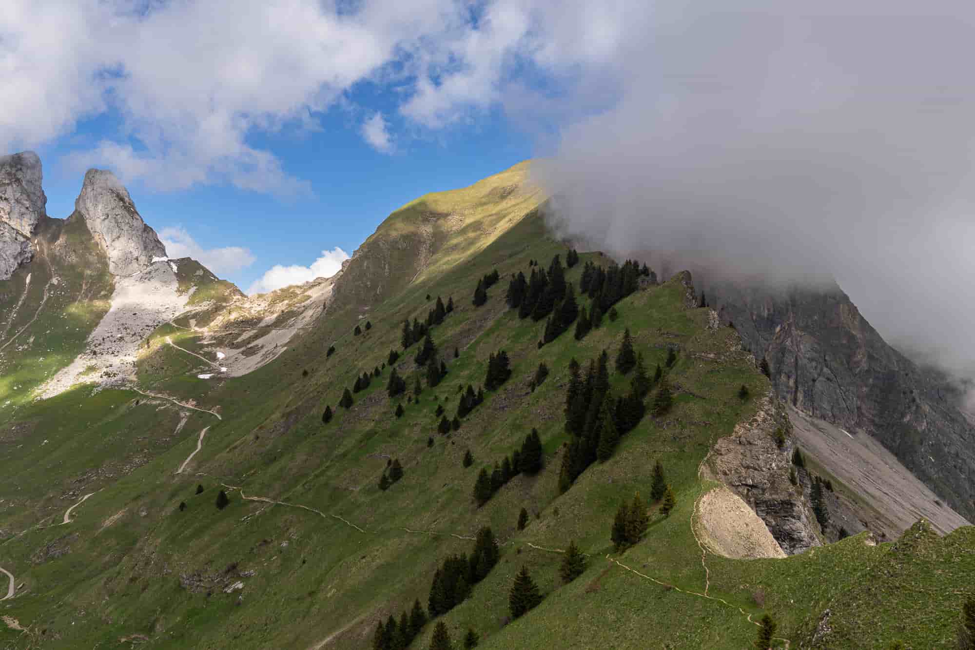 Rückblick