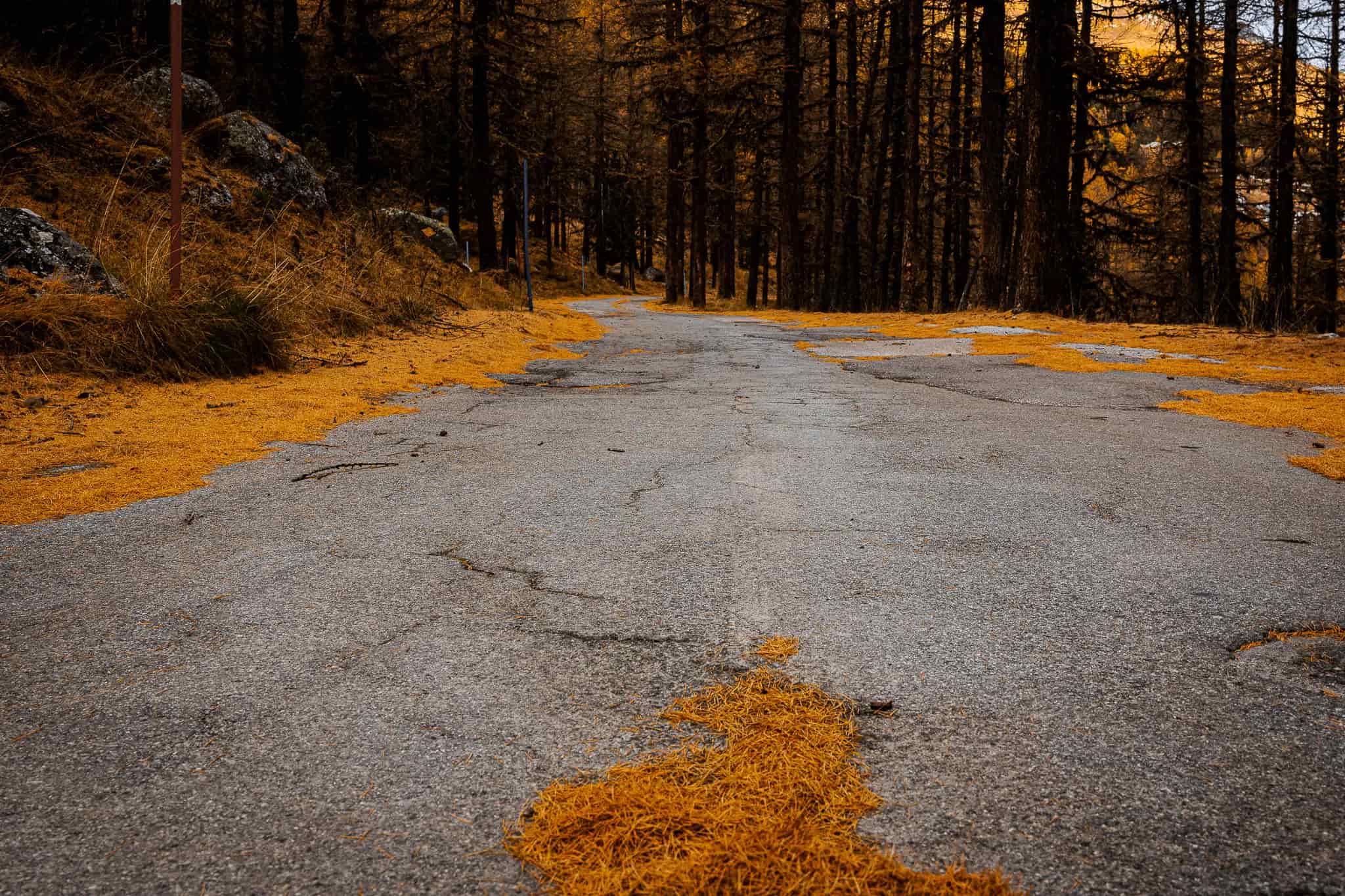 The path is clear.