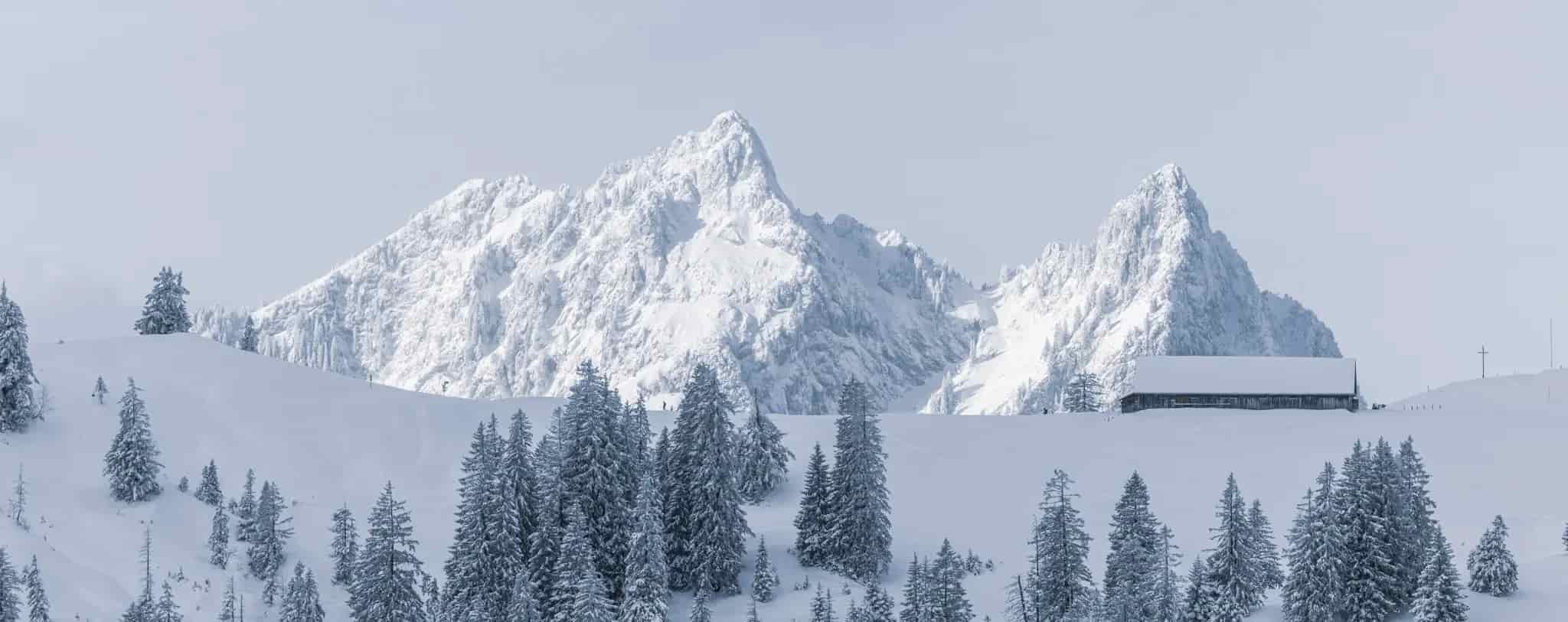 Weisse