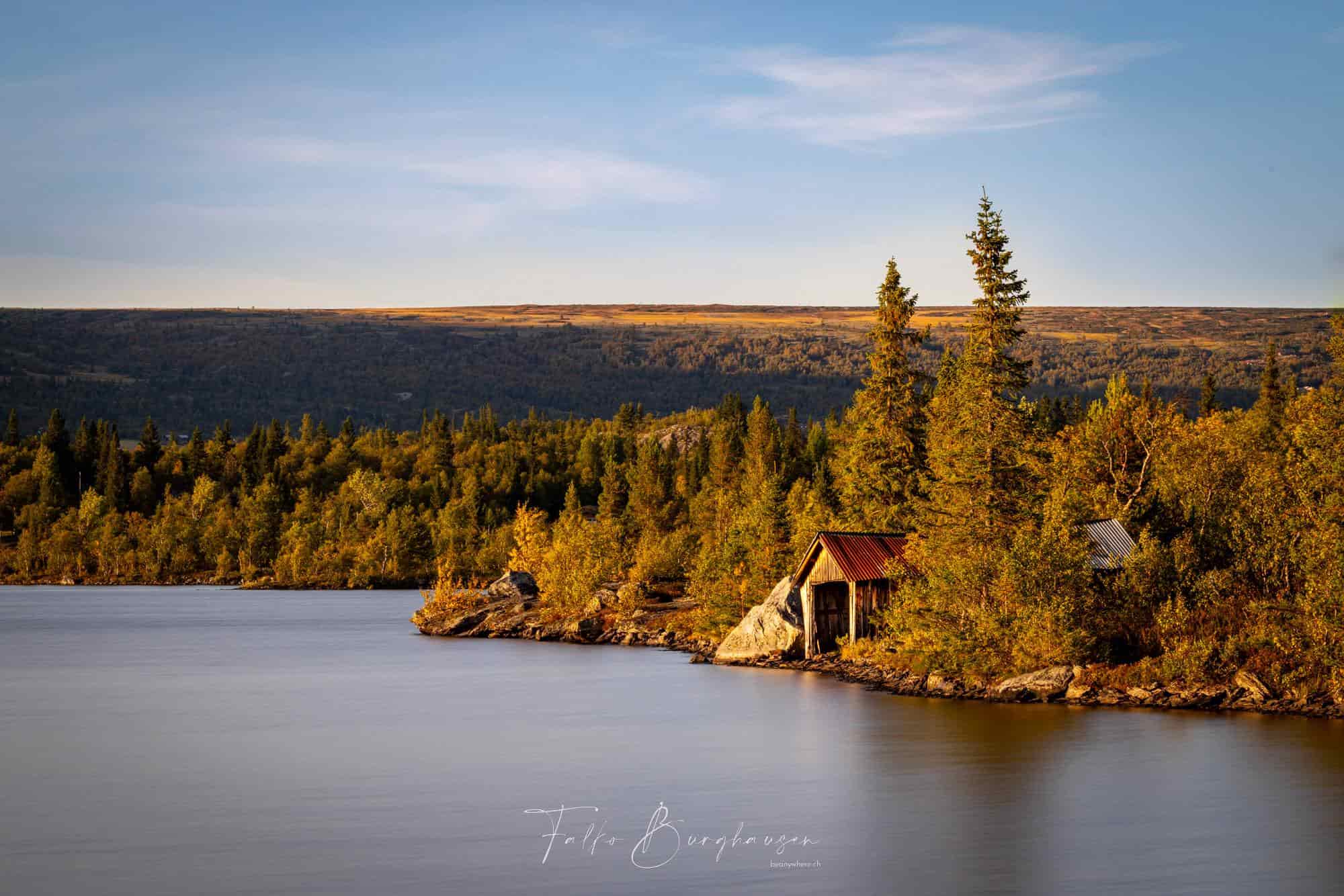 Golden glow on the lakeshore