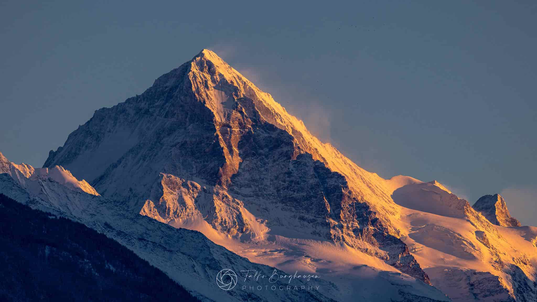 Majestic Dent Blanche