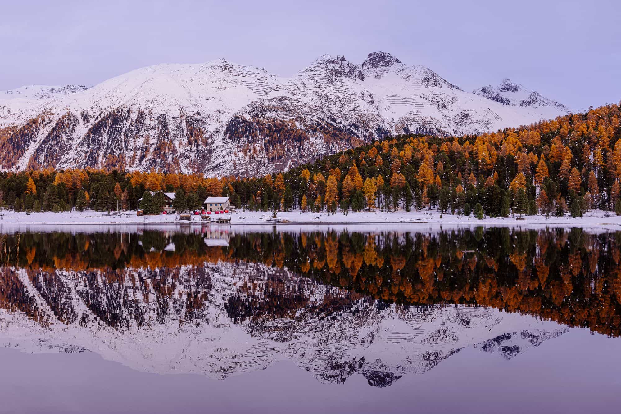 Goldene Lärchen im Engadin zur Herbstzeit