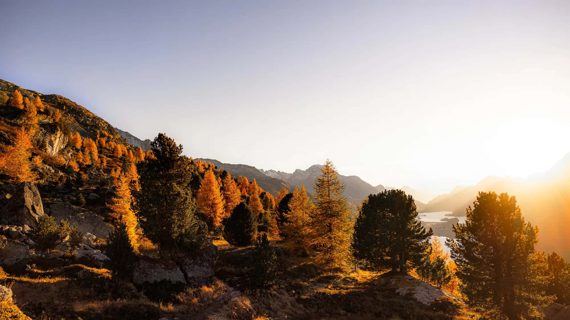 Brilliante Herbstfarben