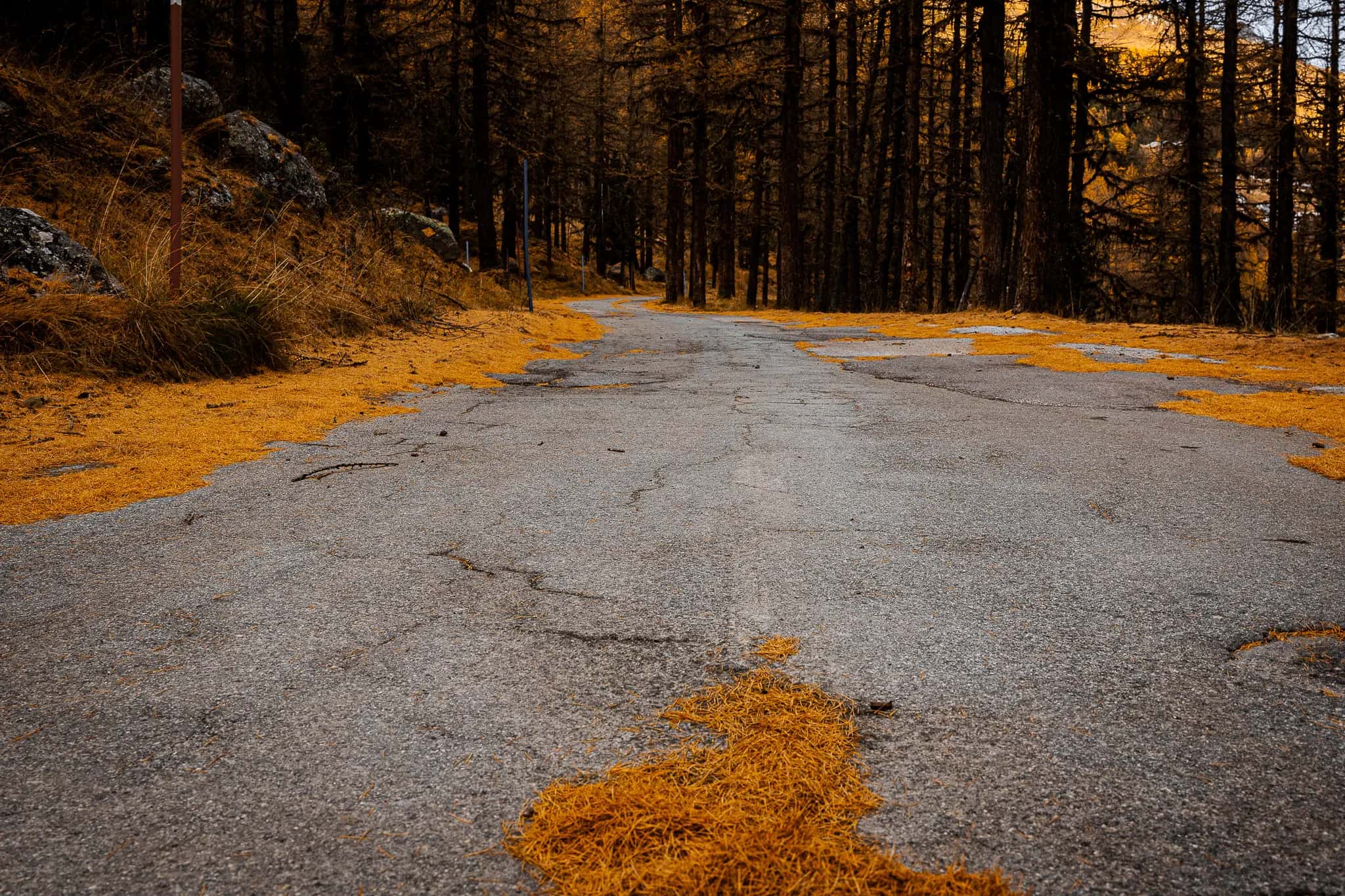 The path is clear.