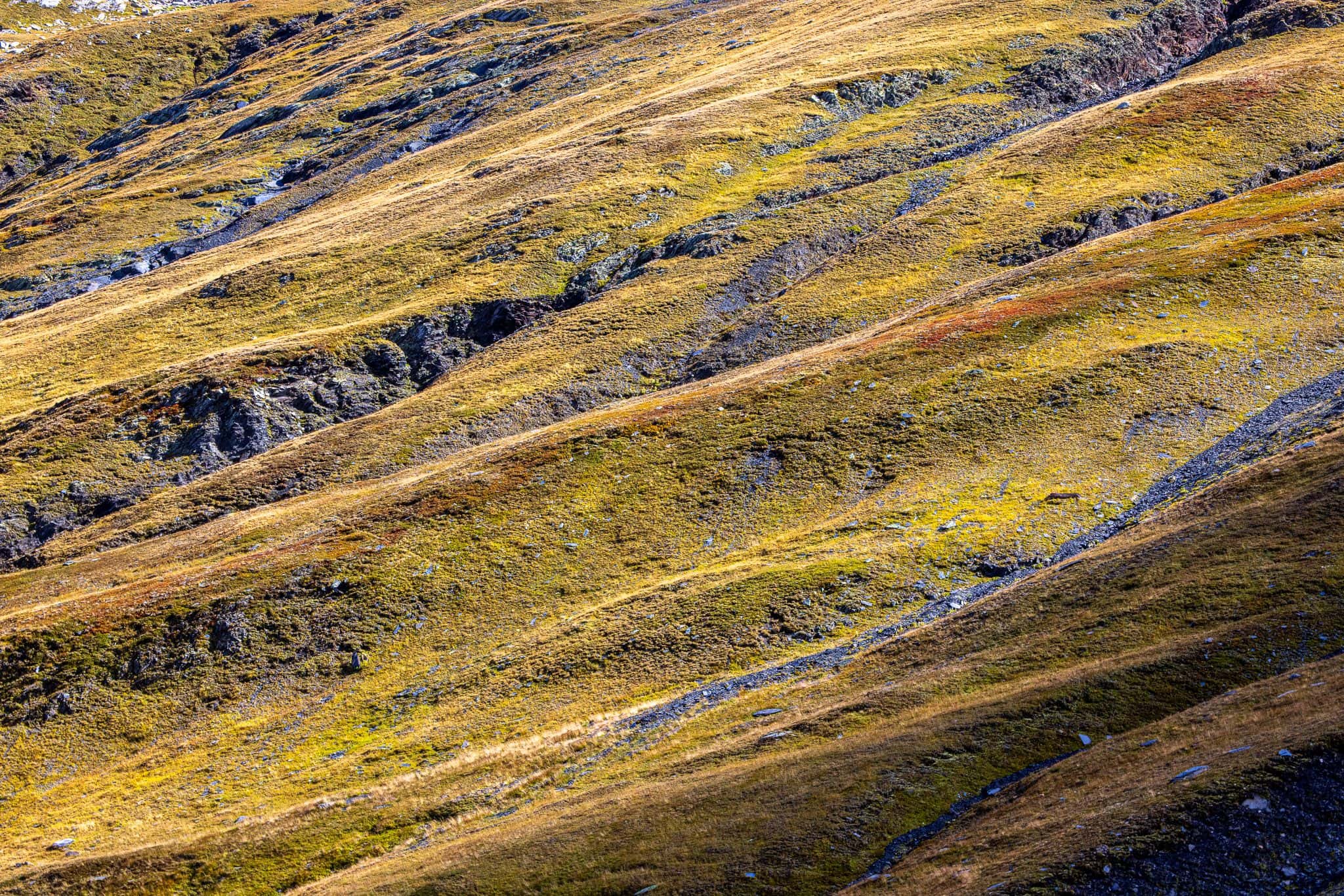 Autumnal color structures