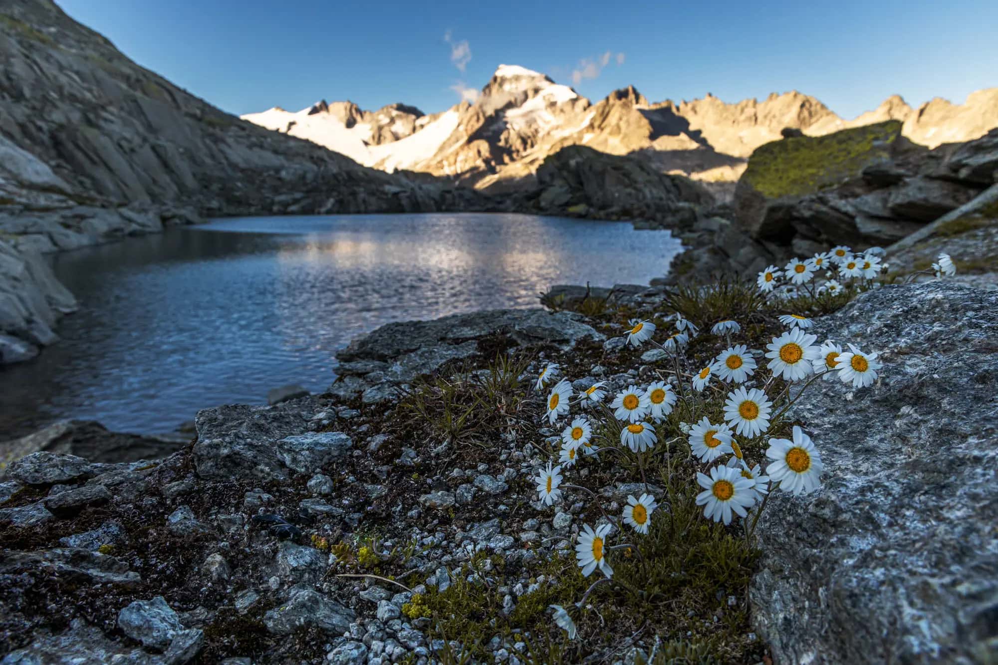 Idyllic jewel on the Grimsel Pass
