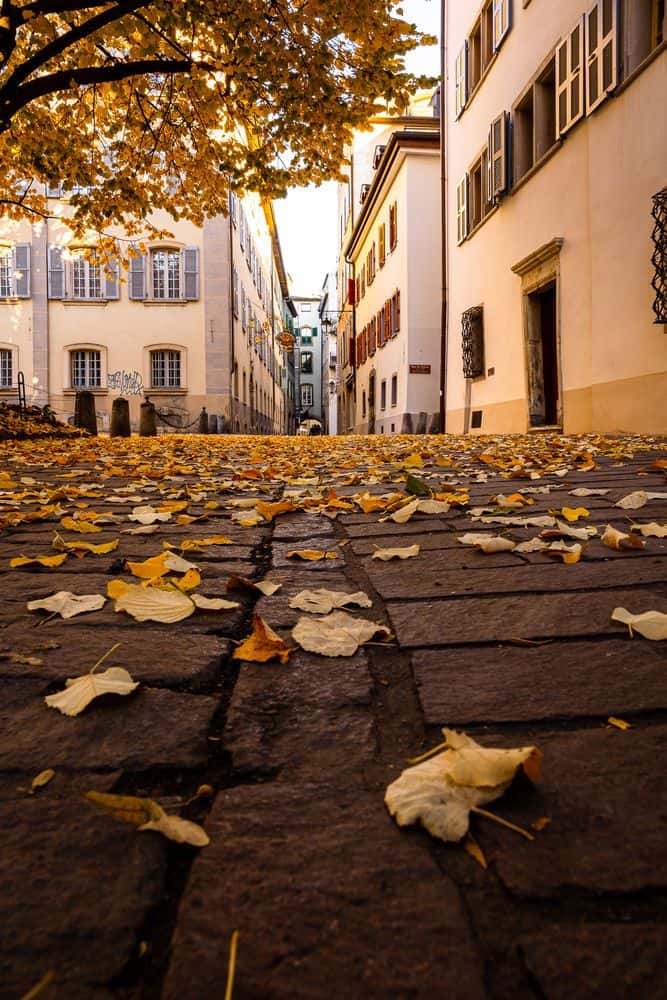 Herbst in Sion: bunte Farbenpracht in der ganzen Stadt