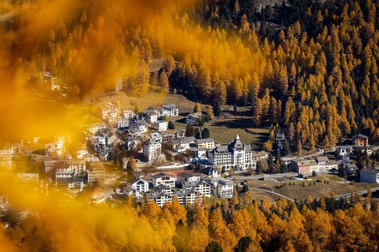 Larch Trees & Light: A Photo Hike in the Engadin