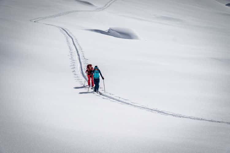 February 2025 - A winter with little snow in the Swiss Alps