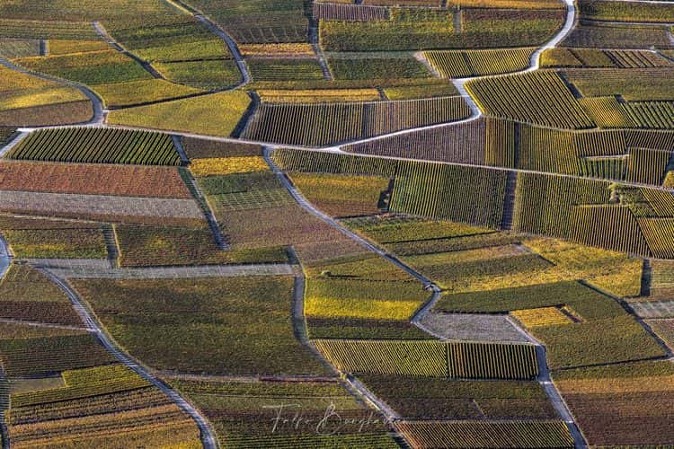 Nomination in the category “_Abstract_” for the work **Labyrinth of Life**