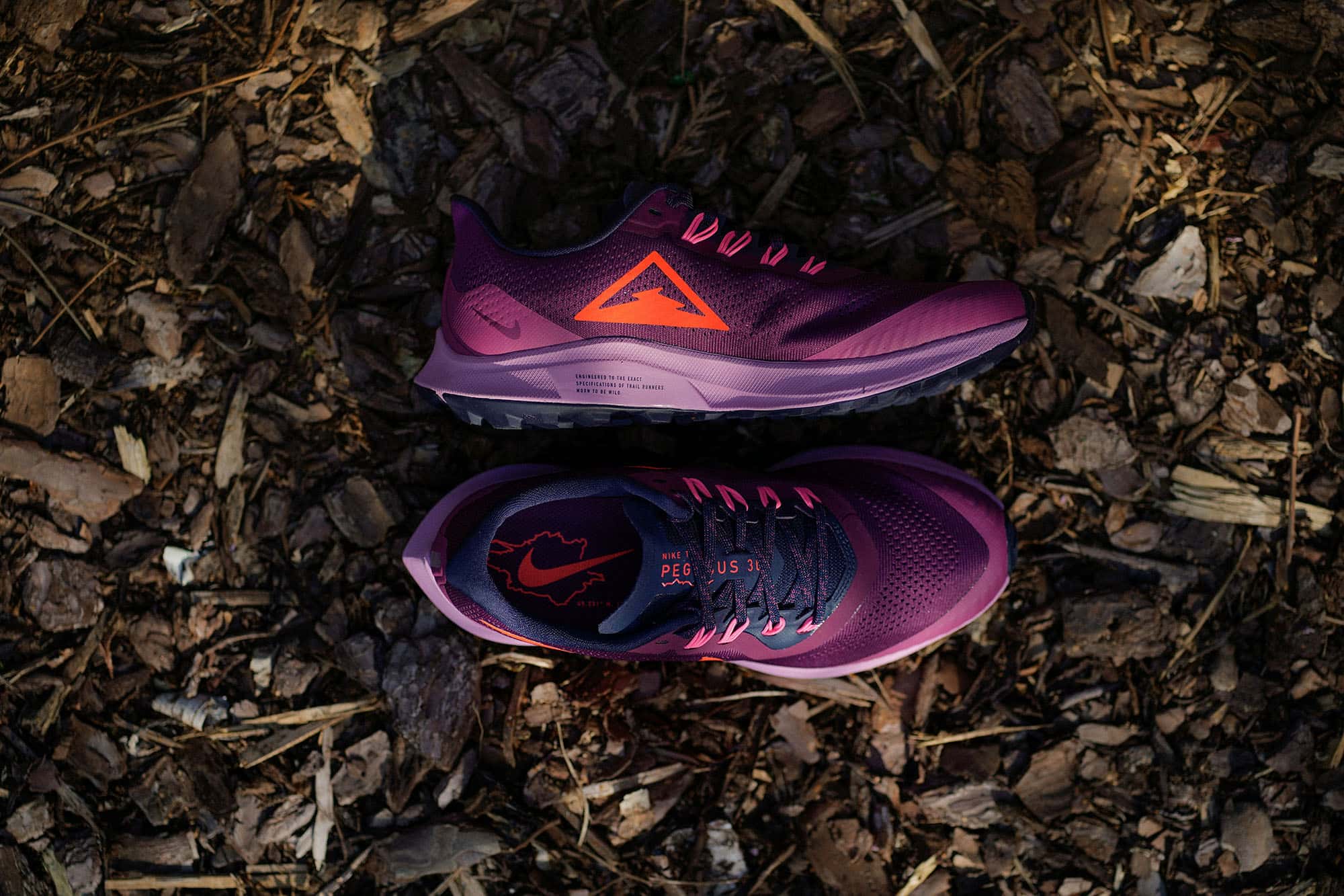 Gute Trailrunning-Schuhe sind einer der wenigen wirklich wichtigen Ausrüstungsgegenstände
