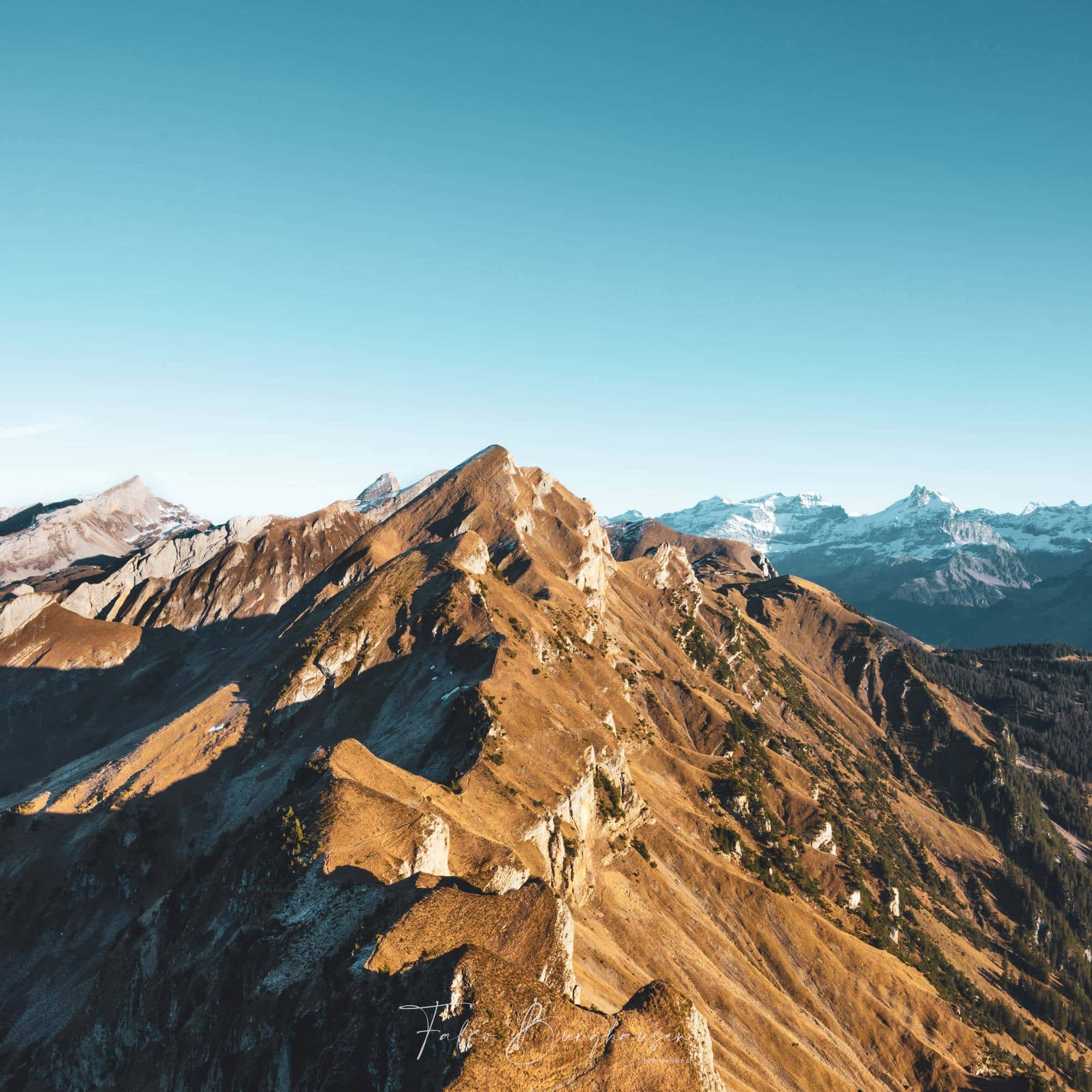 Alpenpanorama im Quadrat