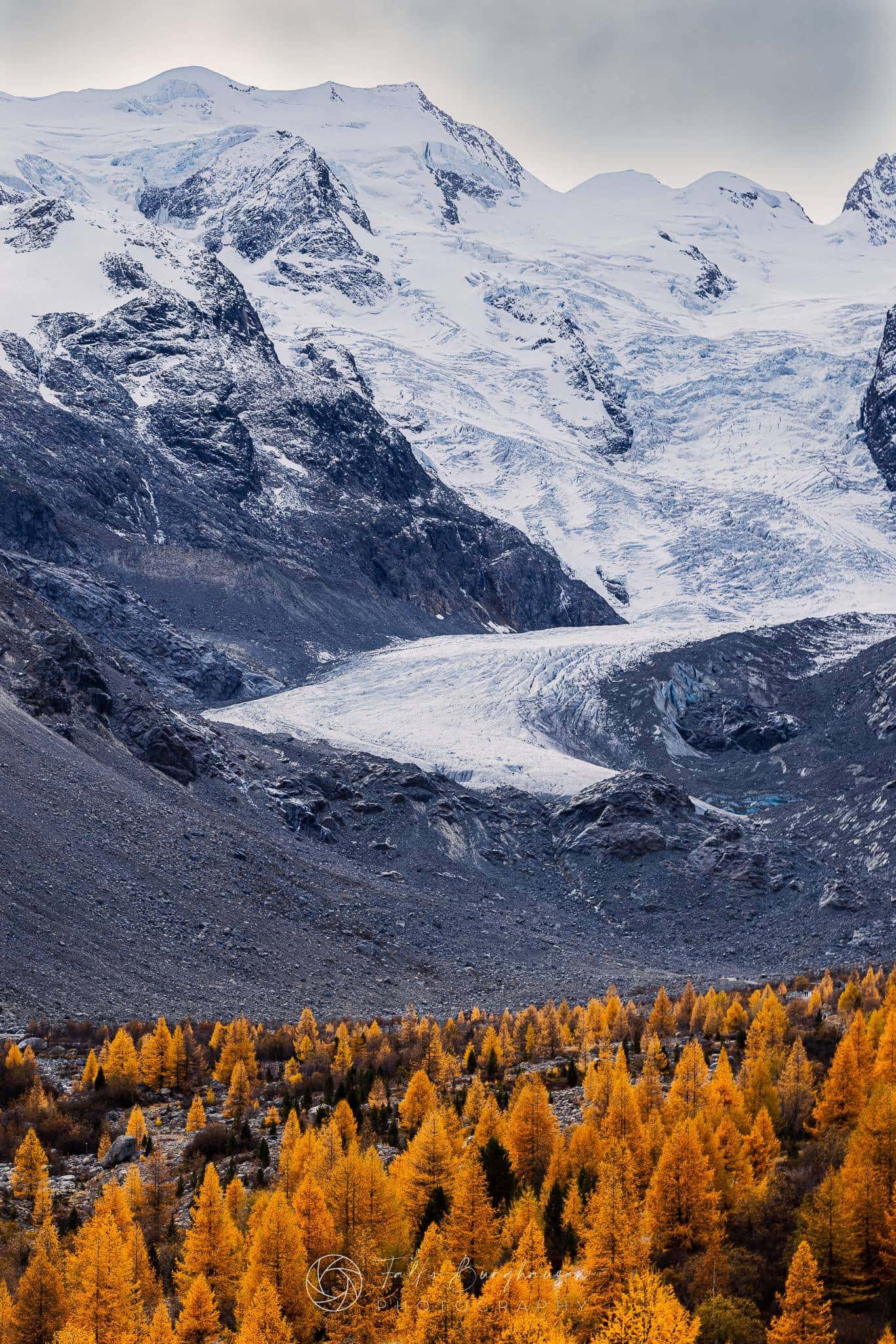Herbstzauber am Morteratsch