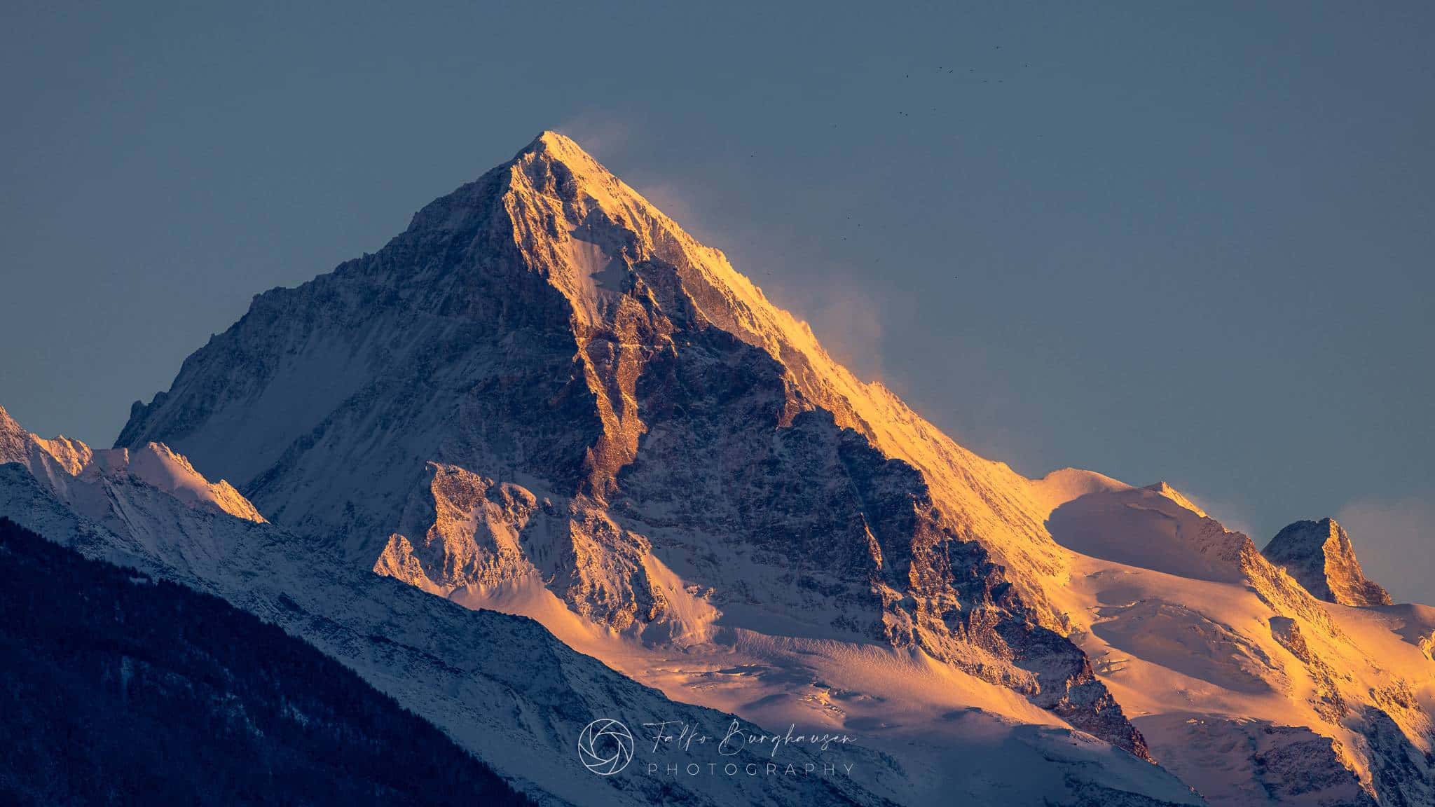 Majestic Dent Blanche