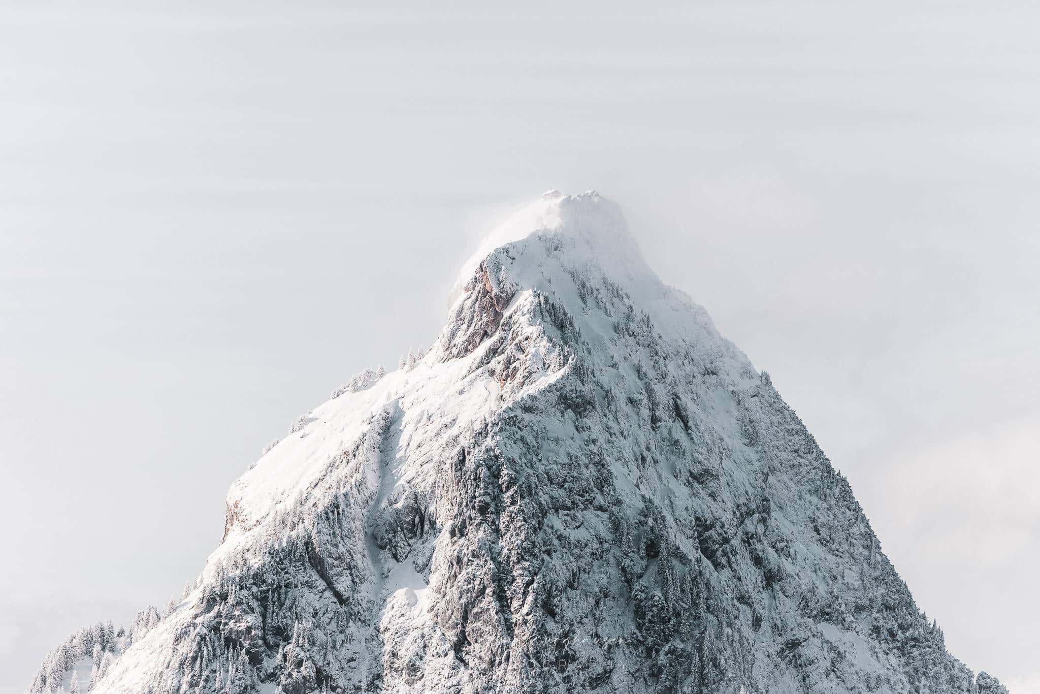 Crown of Snow