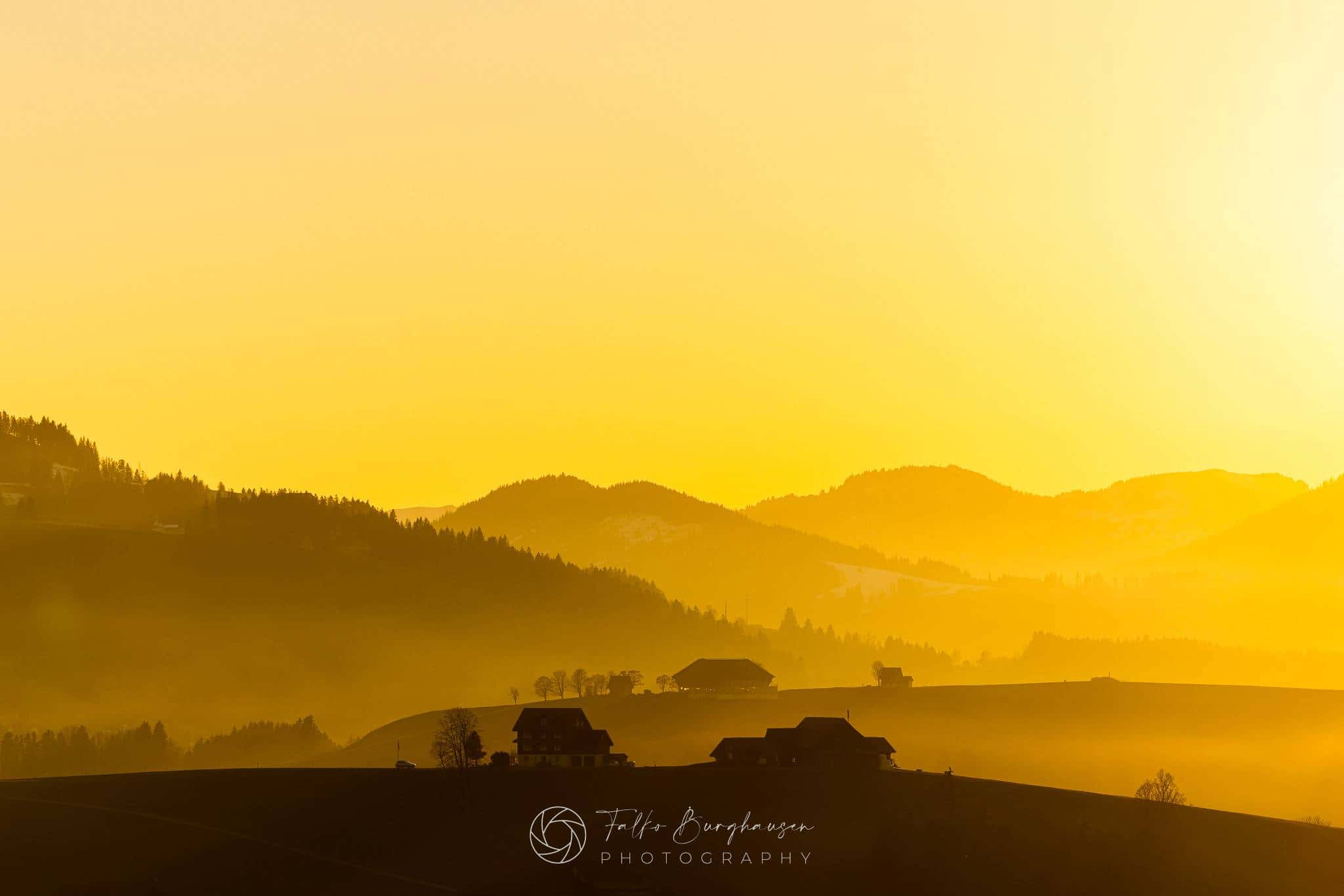 Liquid Summer Gold