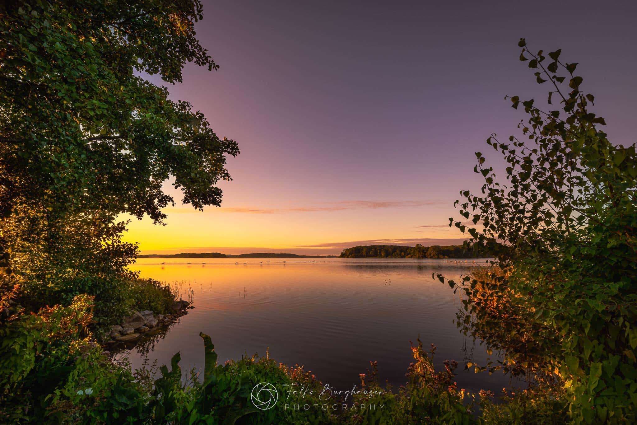 Epic Dawn