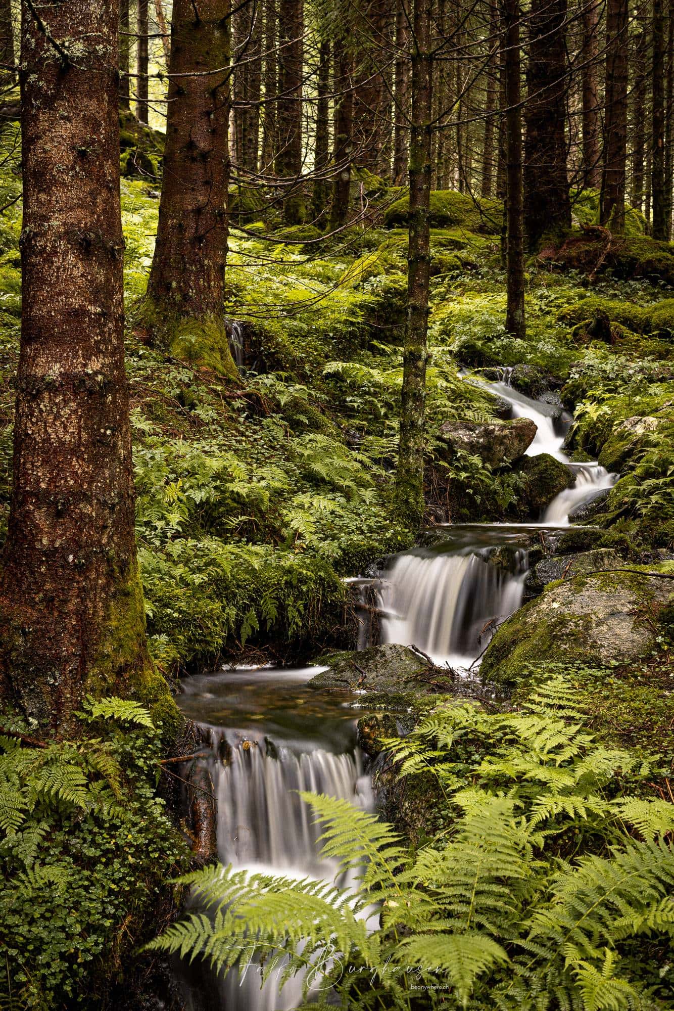Wispering Water of Life