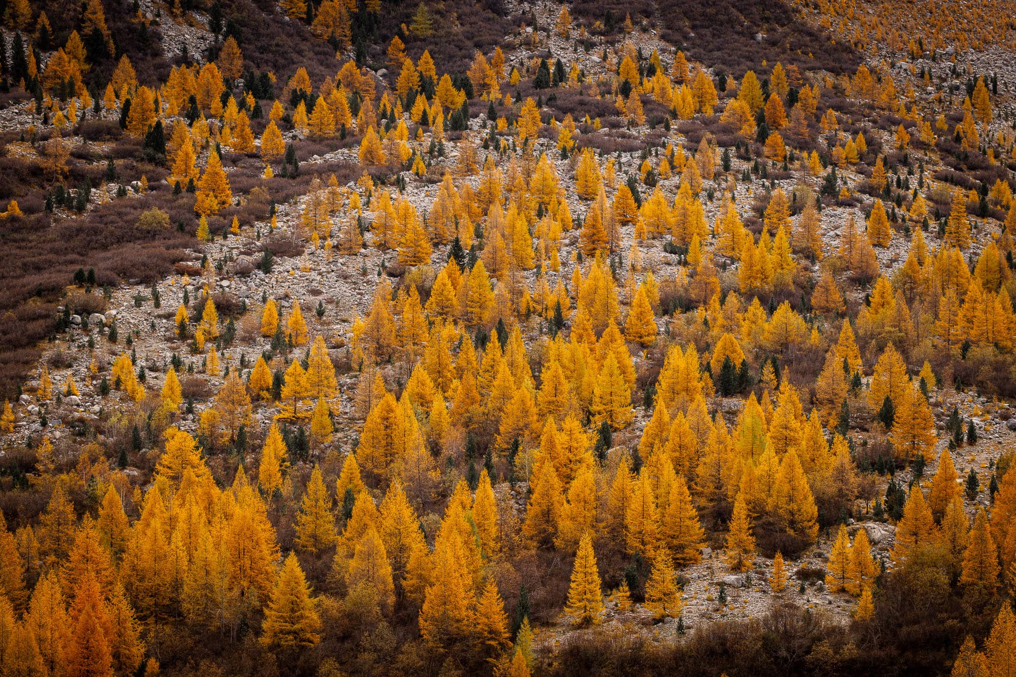 Alpine perspectives – photo coaching with a professional