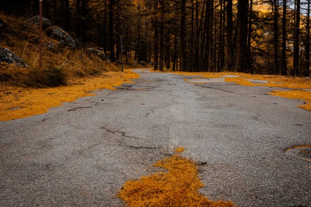 The path is clear.