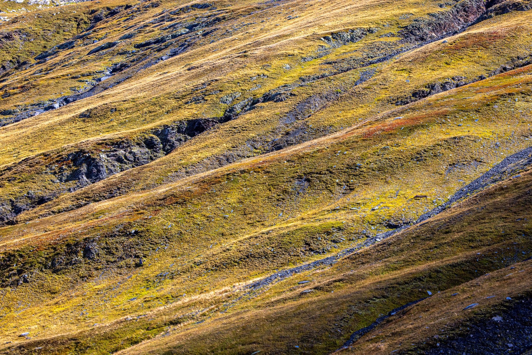 Herbstliche Strukturen