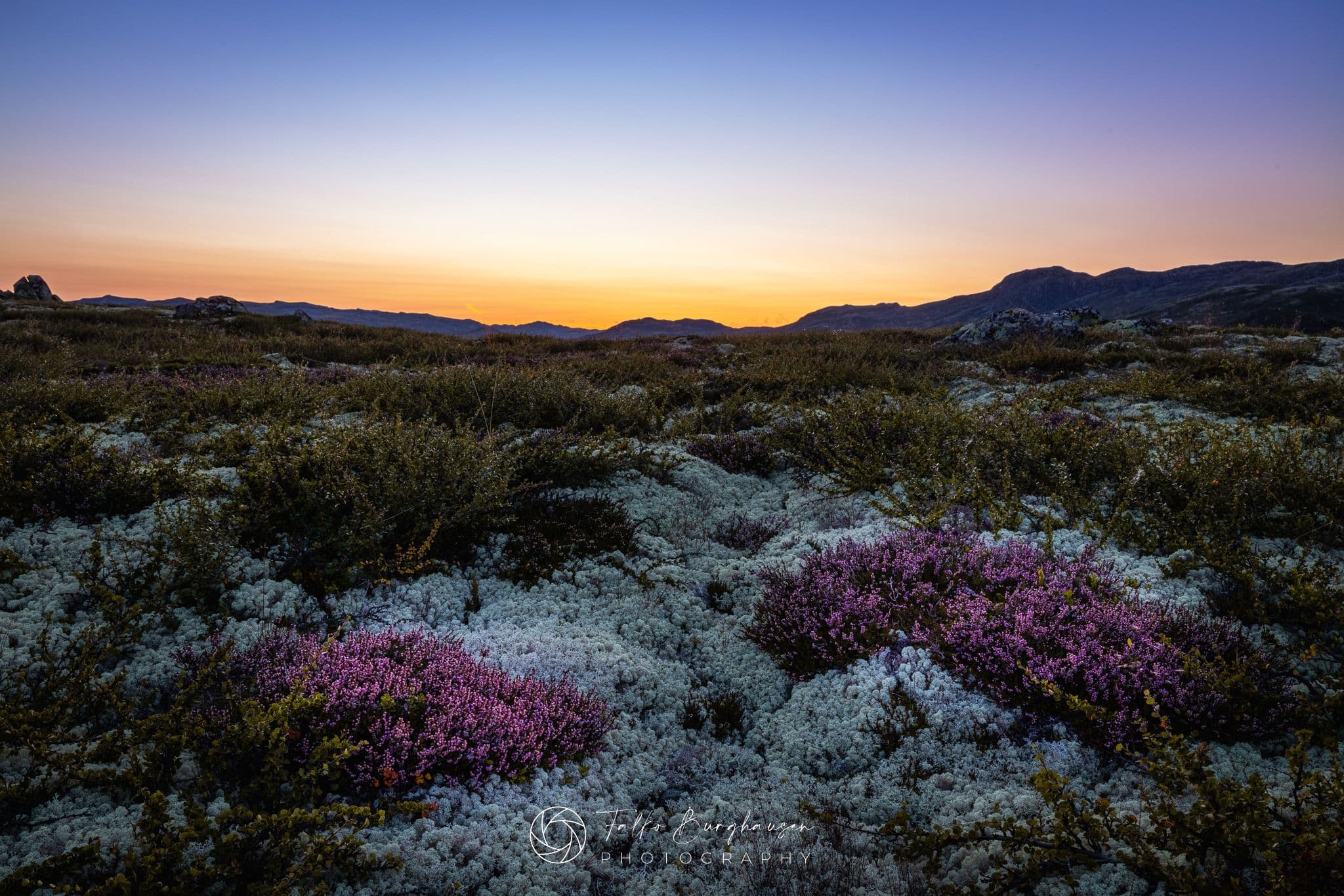 Evening atmosphere in the Norwegian fjell