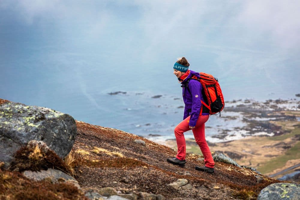 Frühling am Hoven auf den Lofoten