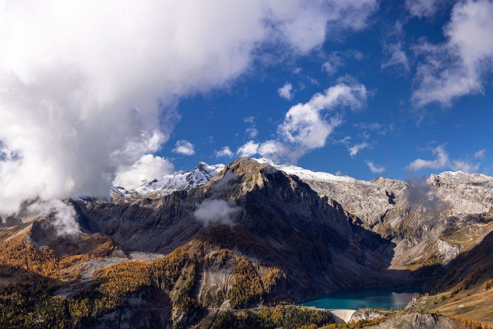 Larch forests at Lac de Tseuzier