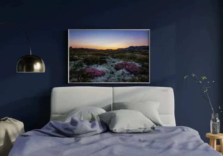 You can buy this picture.