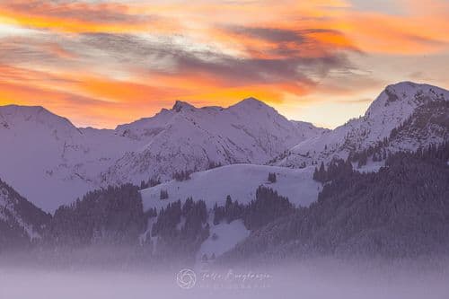Buy fine art prints