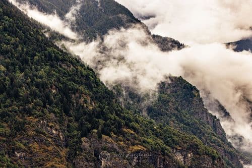 Buy fine art prints