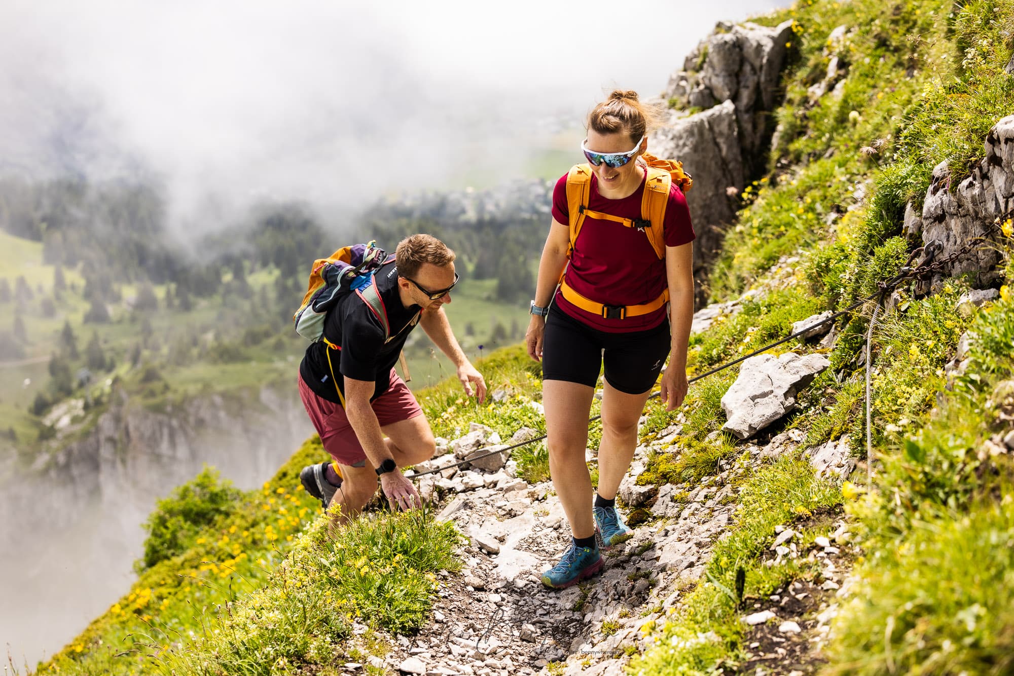 Courses & Trips