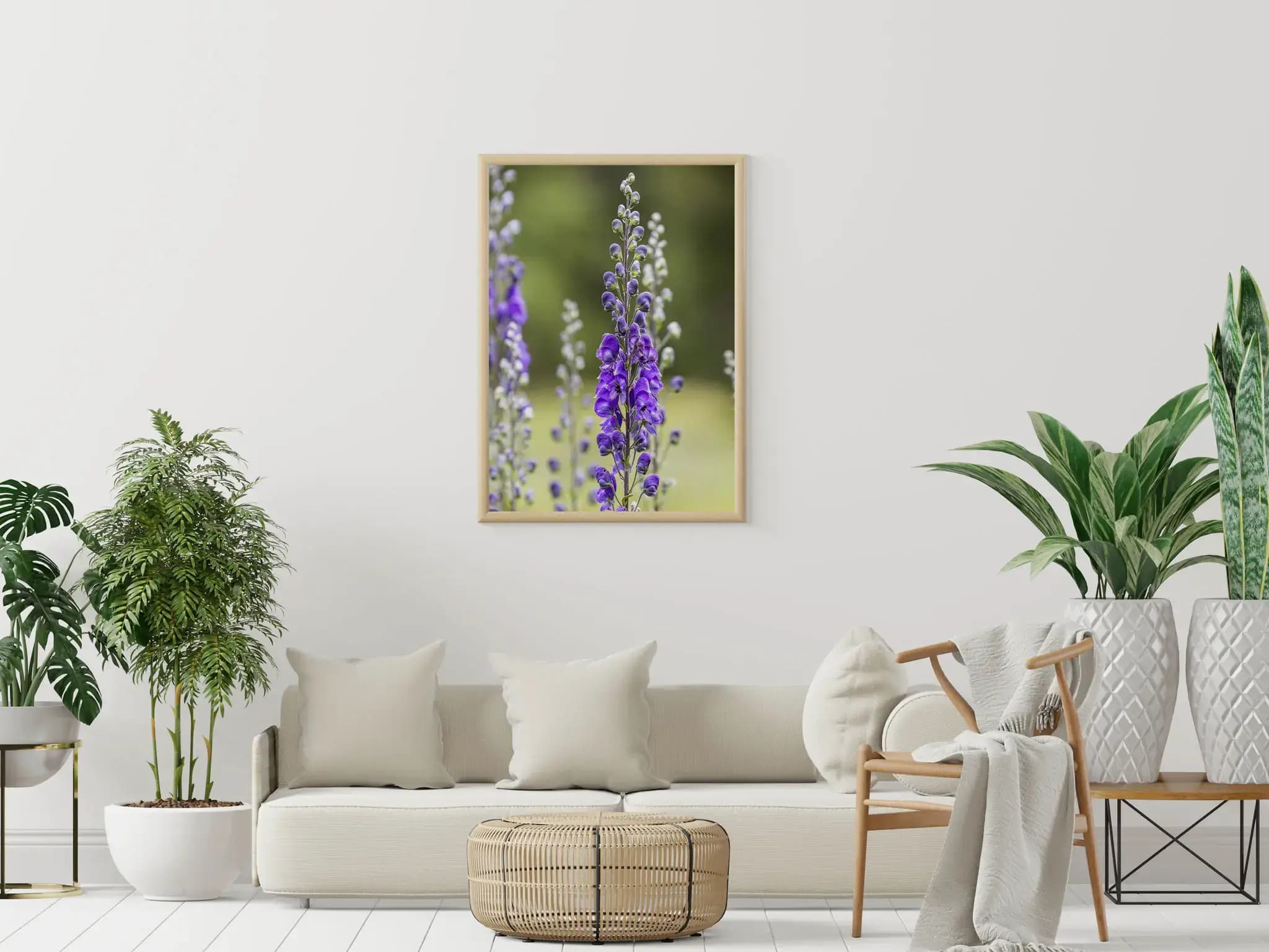 Royal Blue Monkshood Mockup