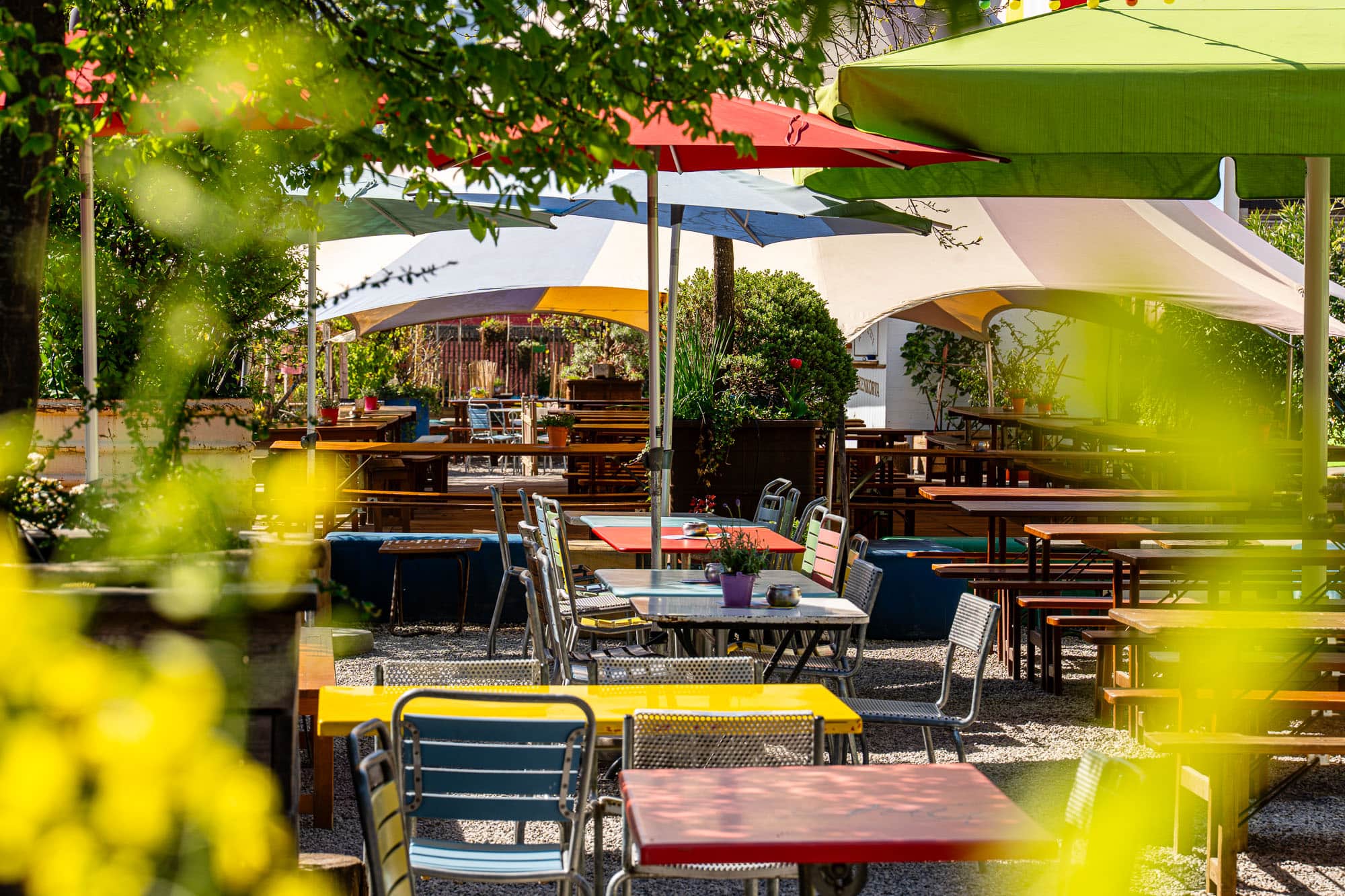 Mrs. Gerold's garden